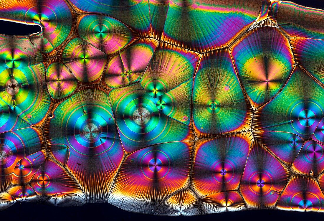 Vitamin C crystals, polarised light micrograph