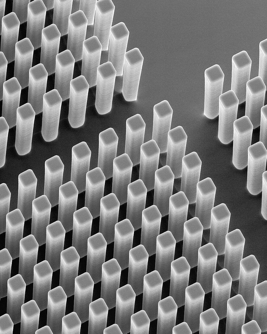 DNA purification microchip, SEM