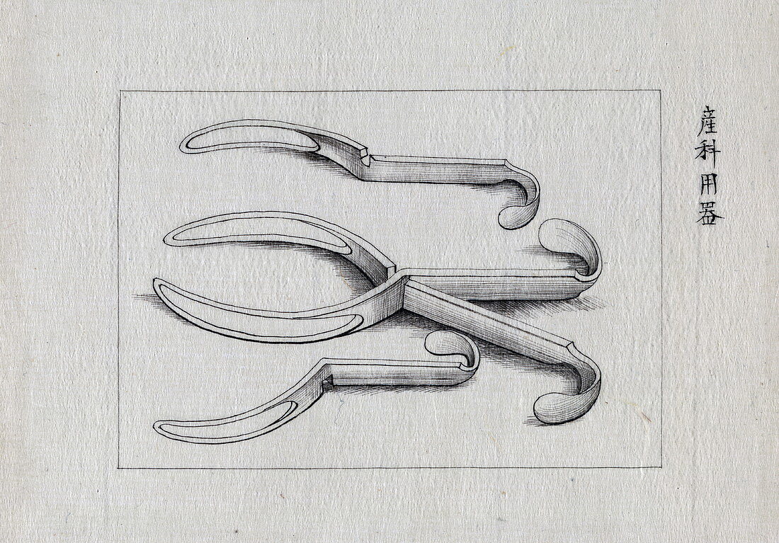 Forceps, 19th century illustration