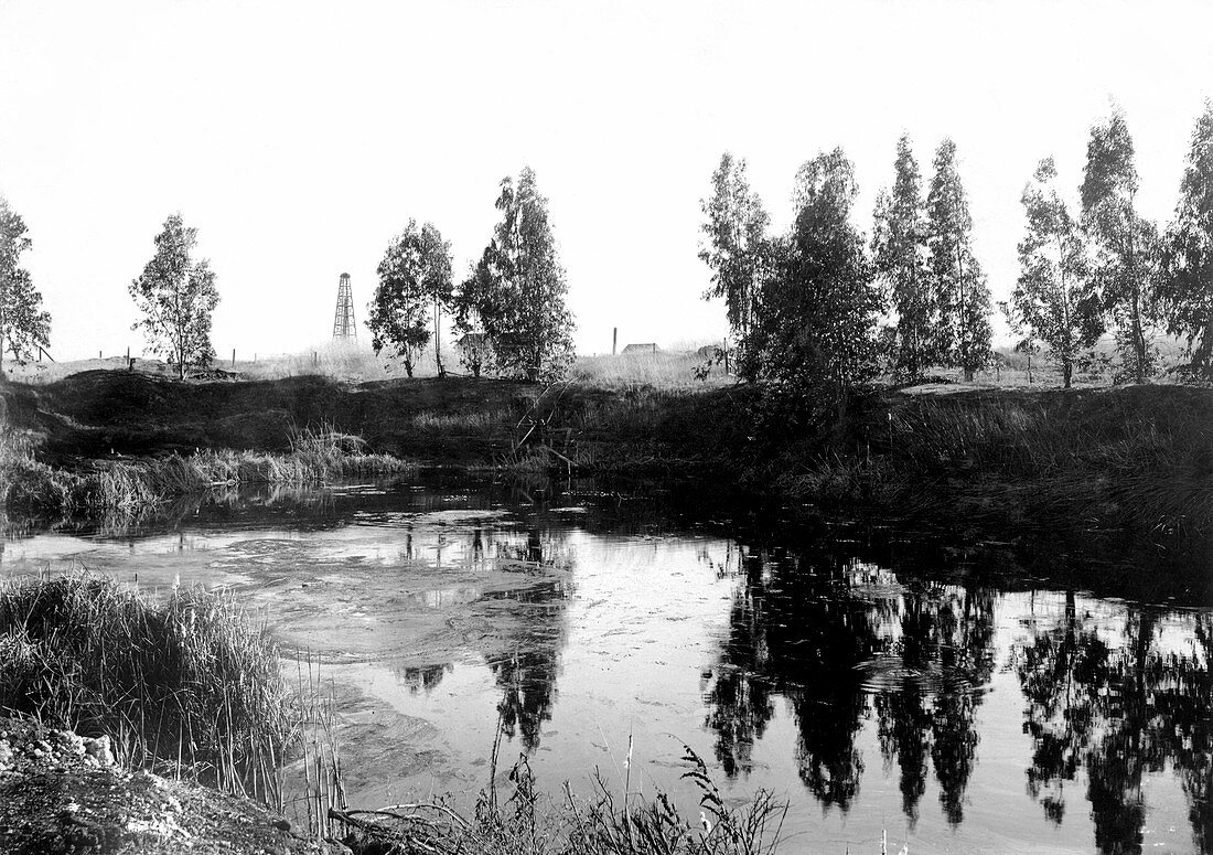 Salt Lake Oil Field, California, USA, 1906