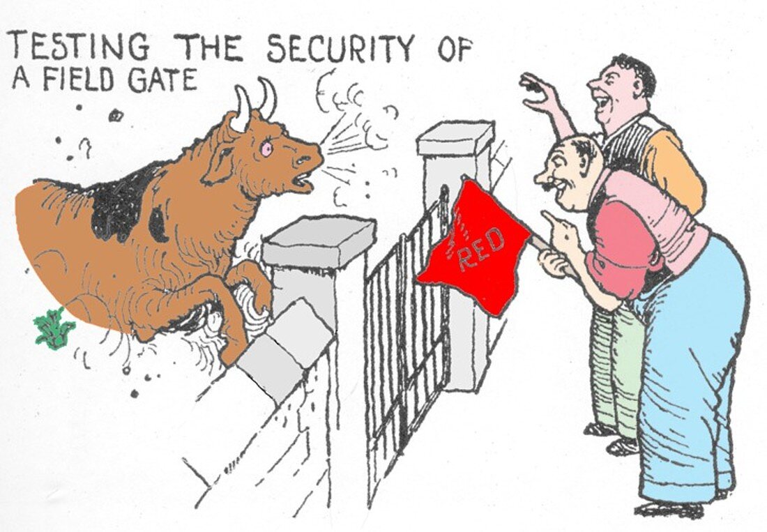 Testing the security of a field gate by W. Heath Robinson b