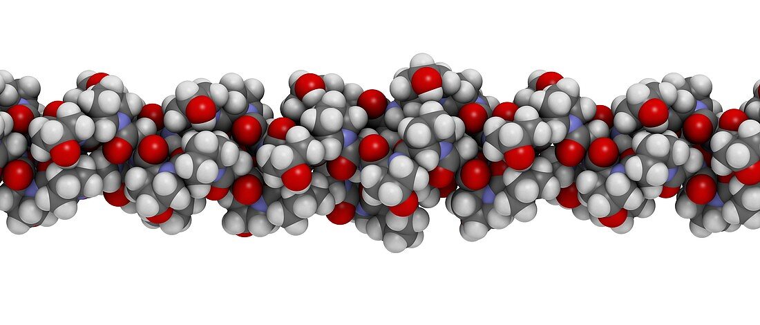 Collagen protein molecule, illustration