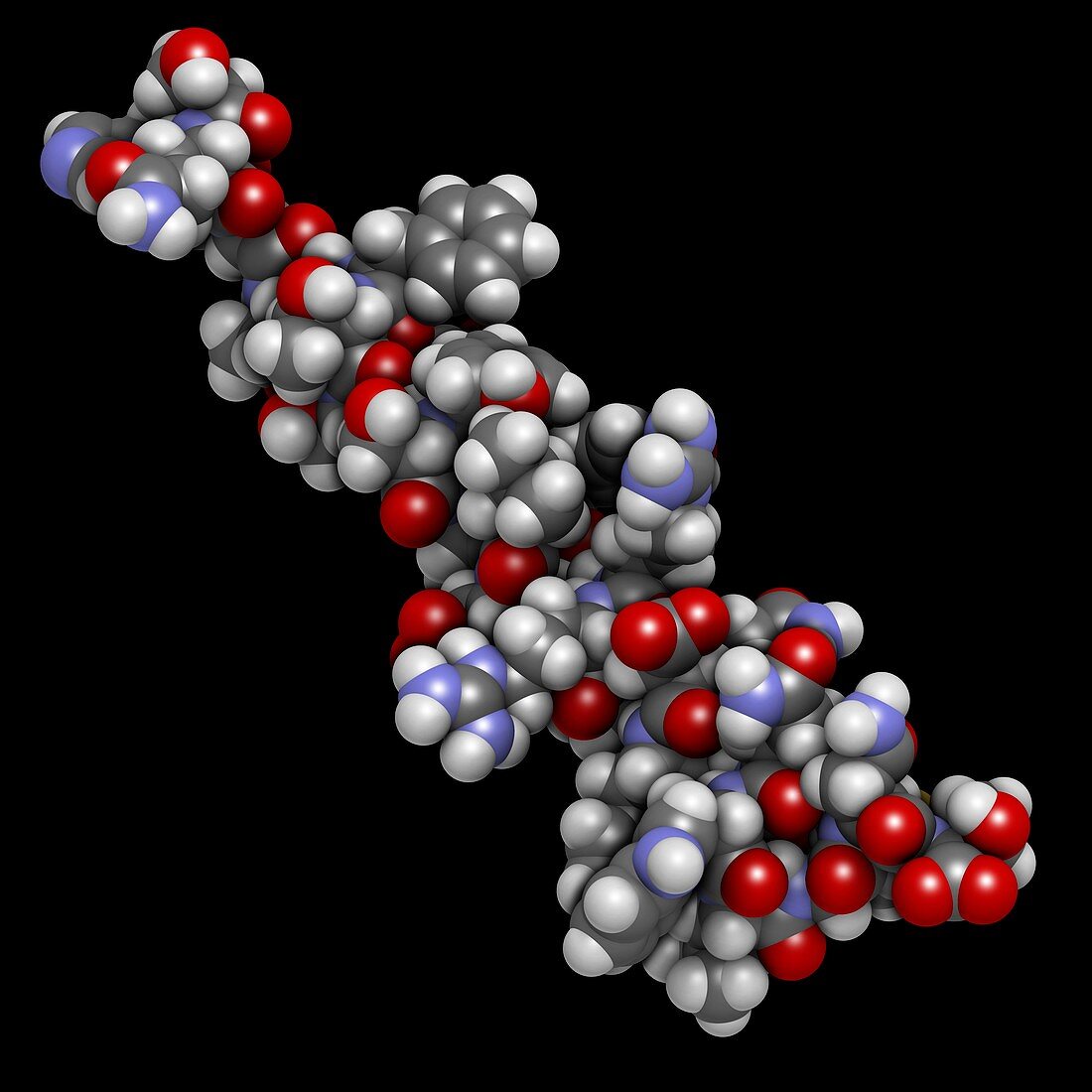 Glucagon hormone molecule, illustration