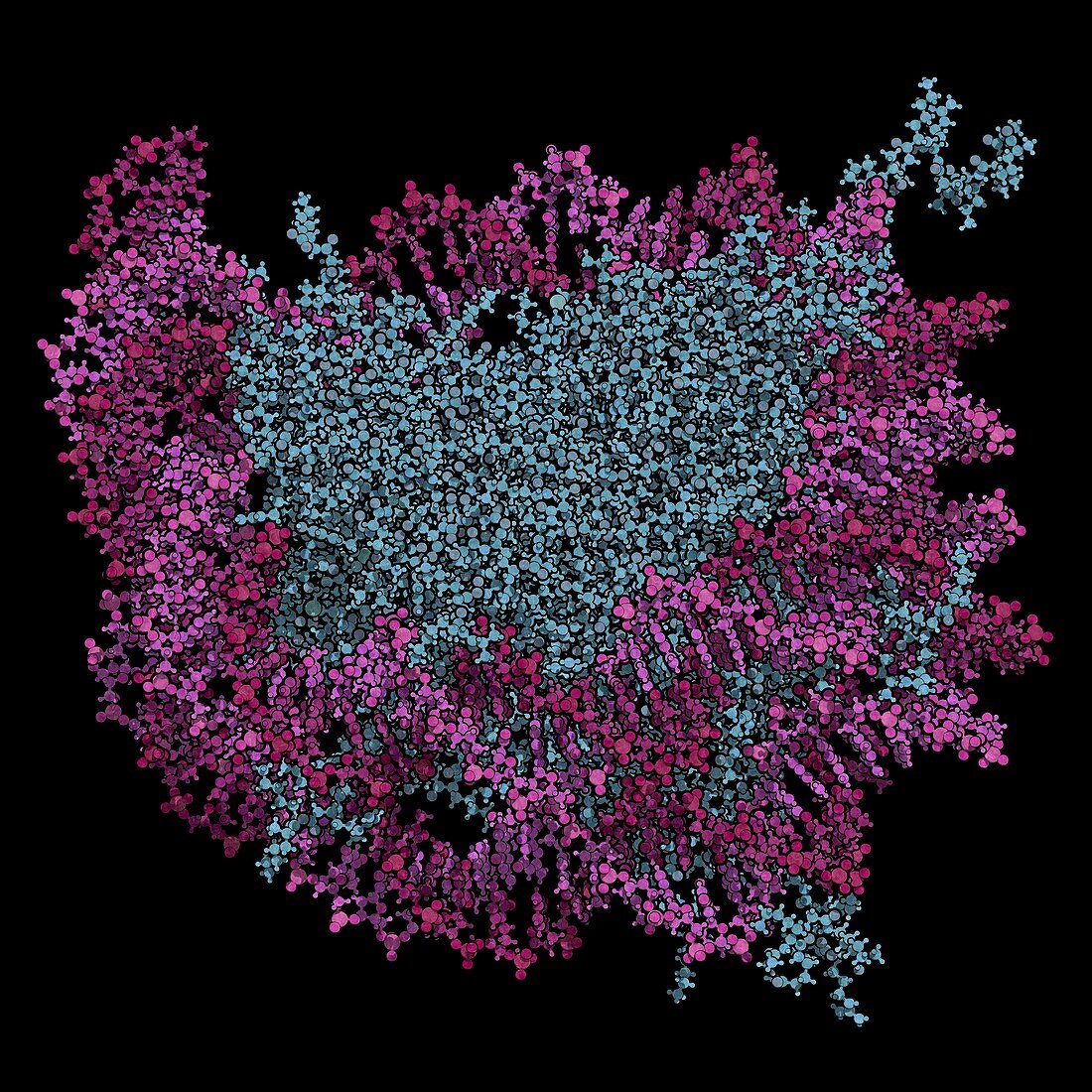 Nucleosome molecule, illustration