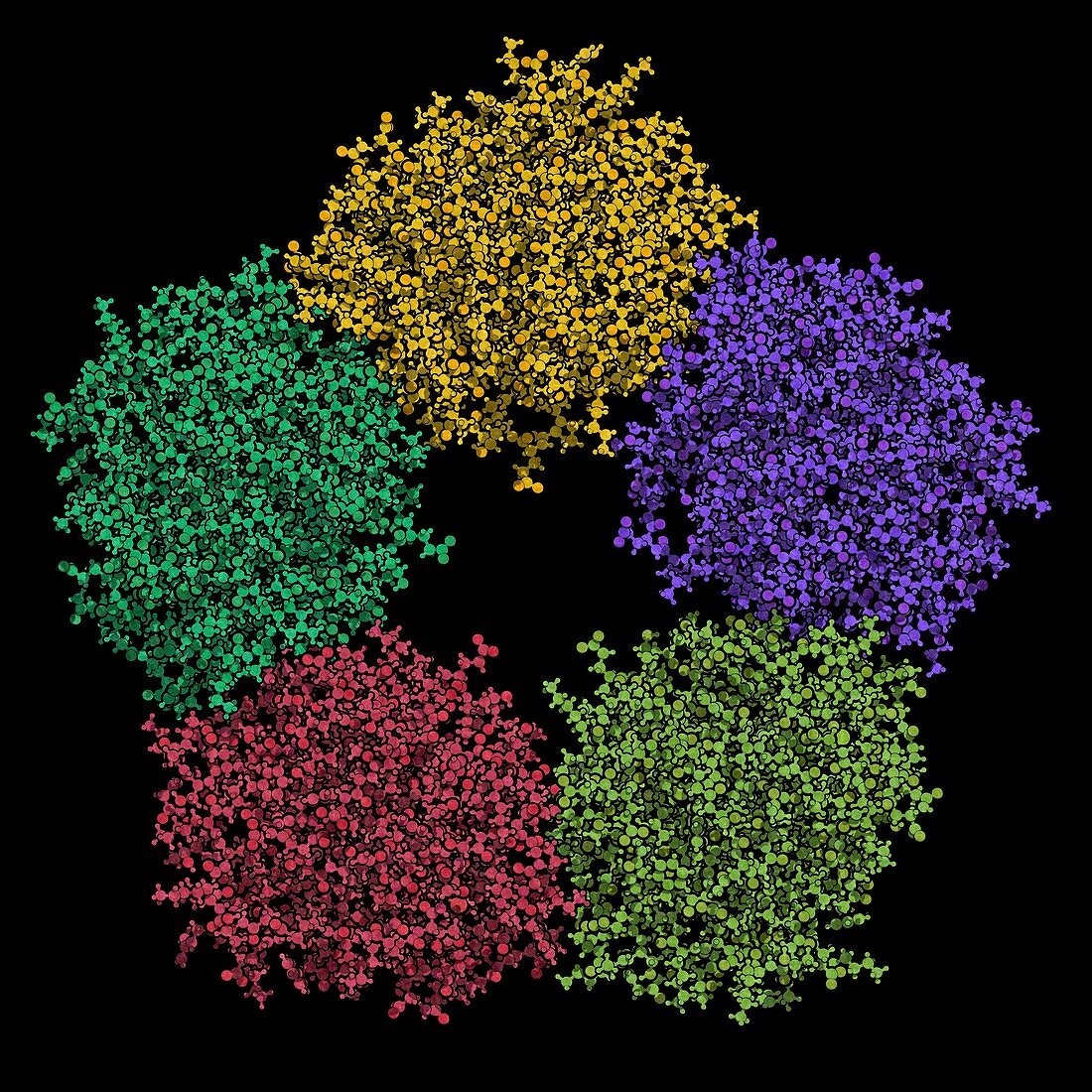 C-reactive protein molecule, illustration