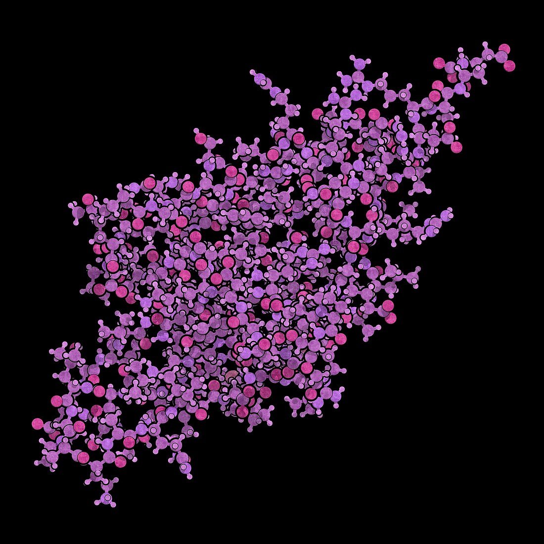 Cell death 1 protein molecule, illustration