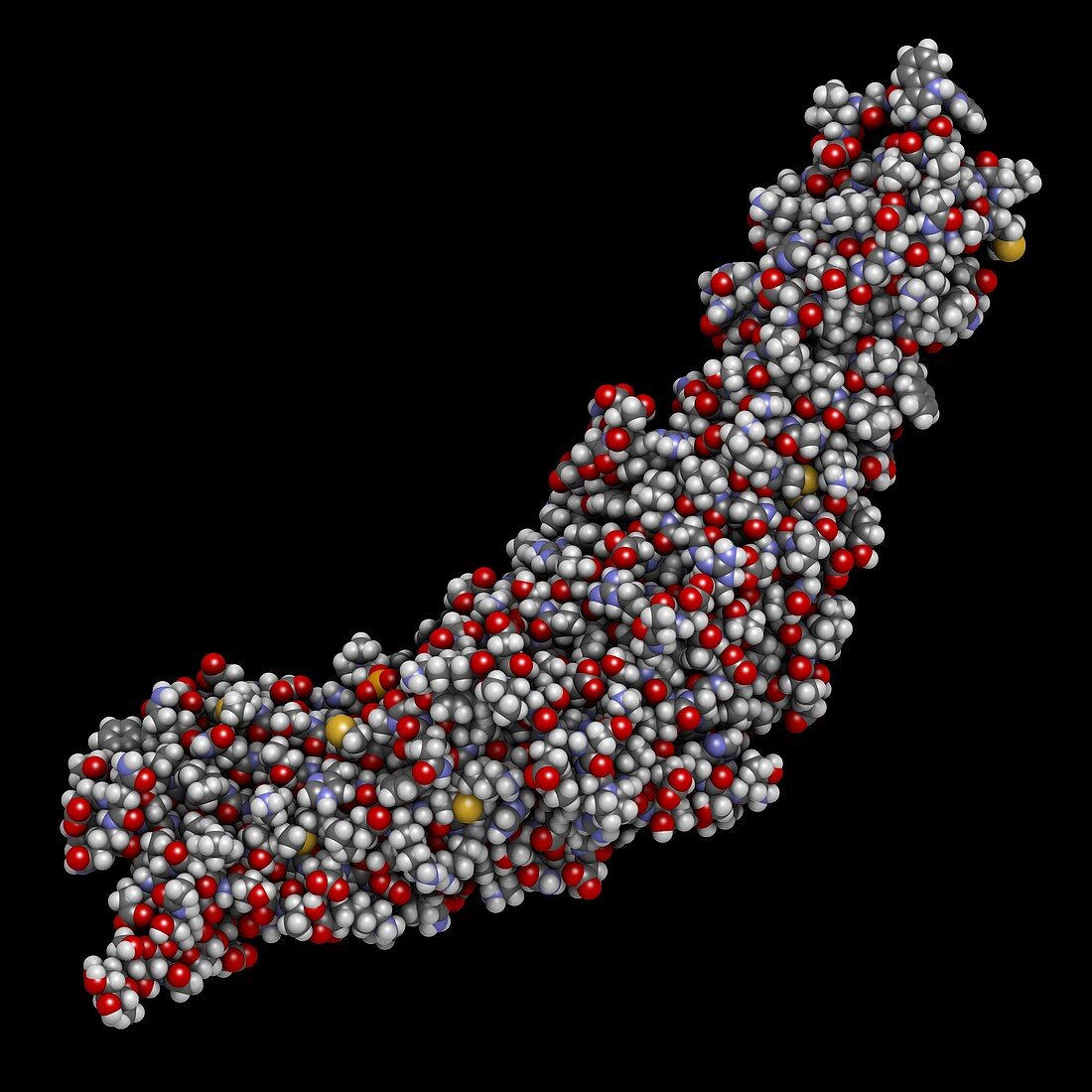 CETP protein molecule, illustration