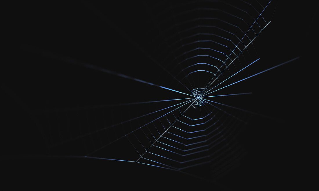 Spider web, illustration