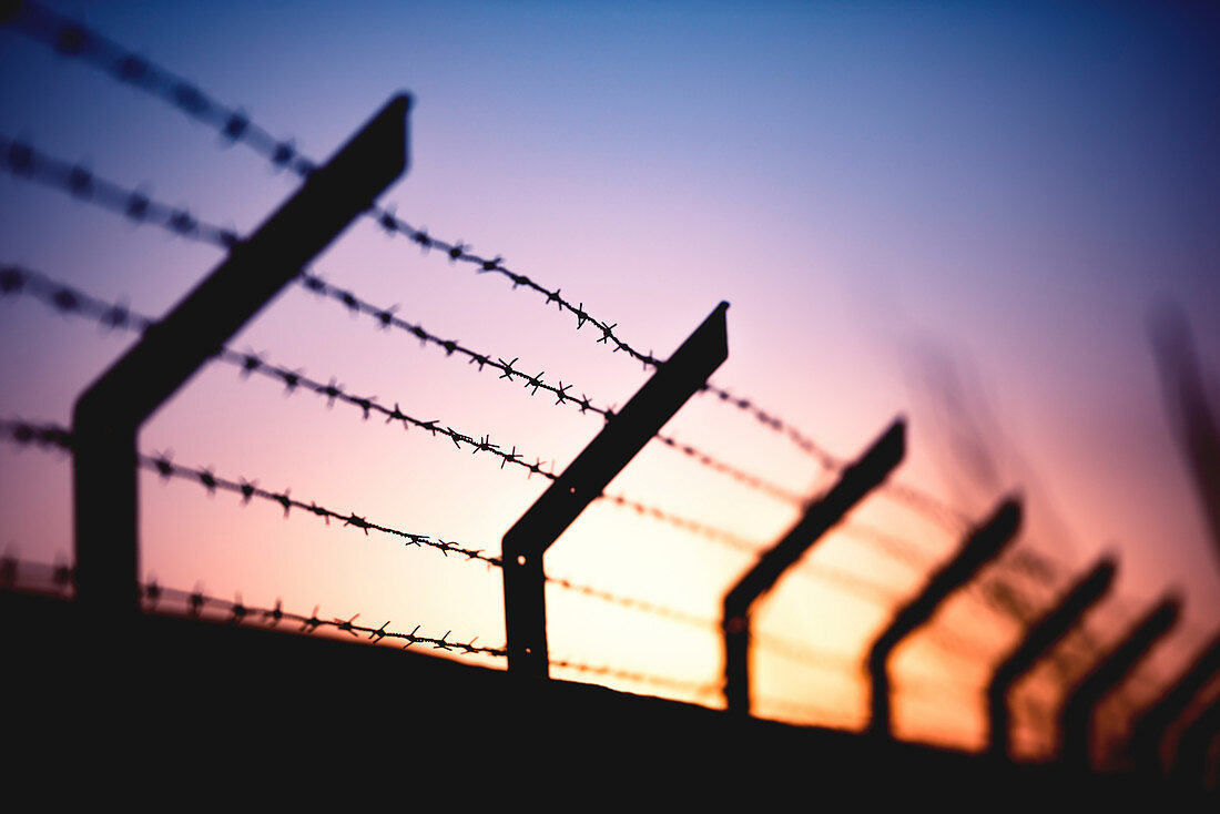 Silhouette of barbed wire fence