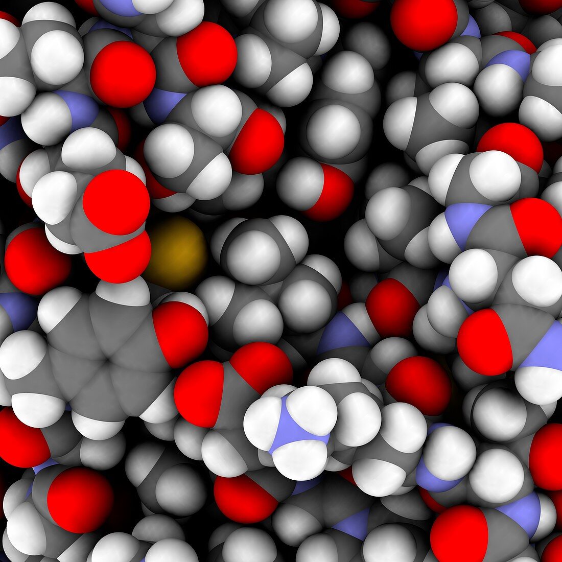 Trypsin enzyme surface, molecule, illustration