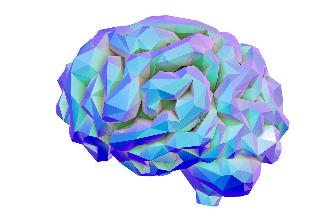 Human brain, low-polygonal illustration
