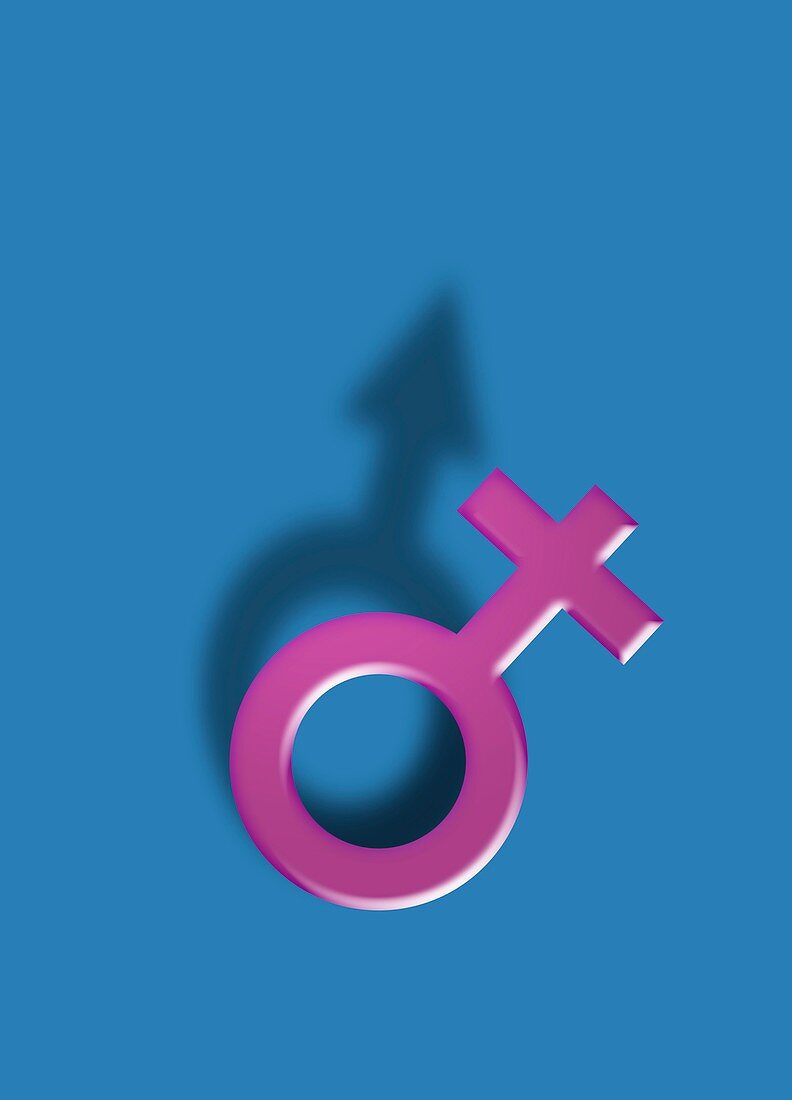 Female and male symbols, illustration