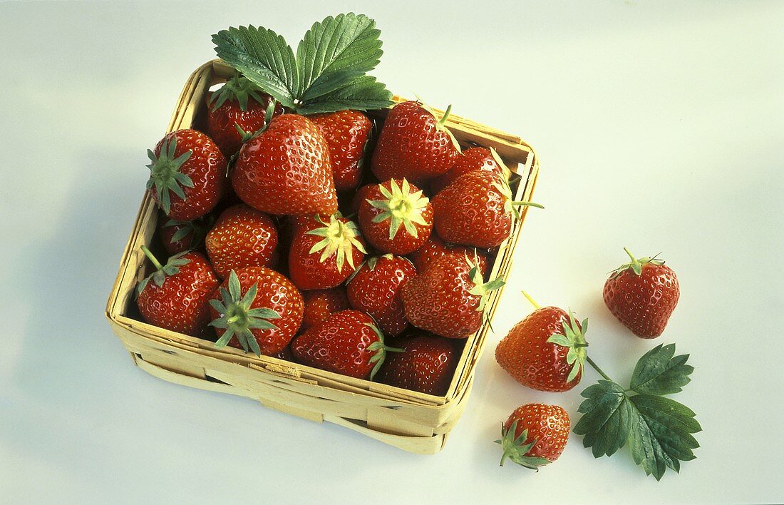 Fresh strawberries in a punnet