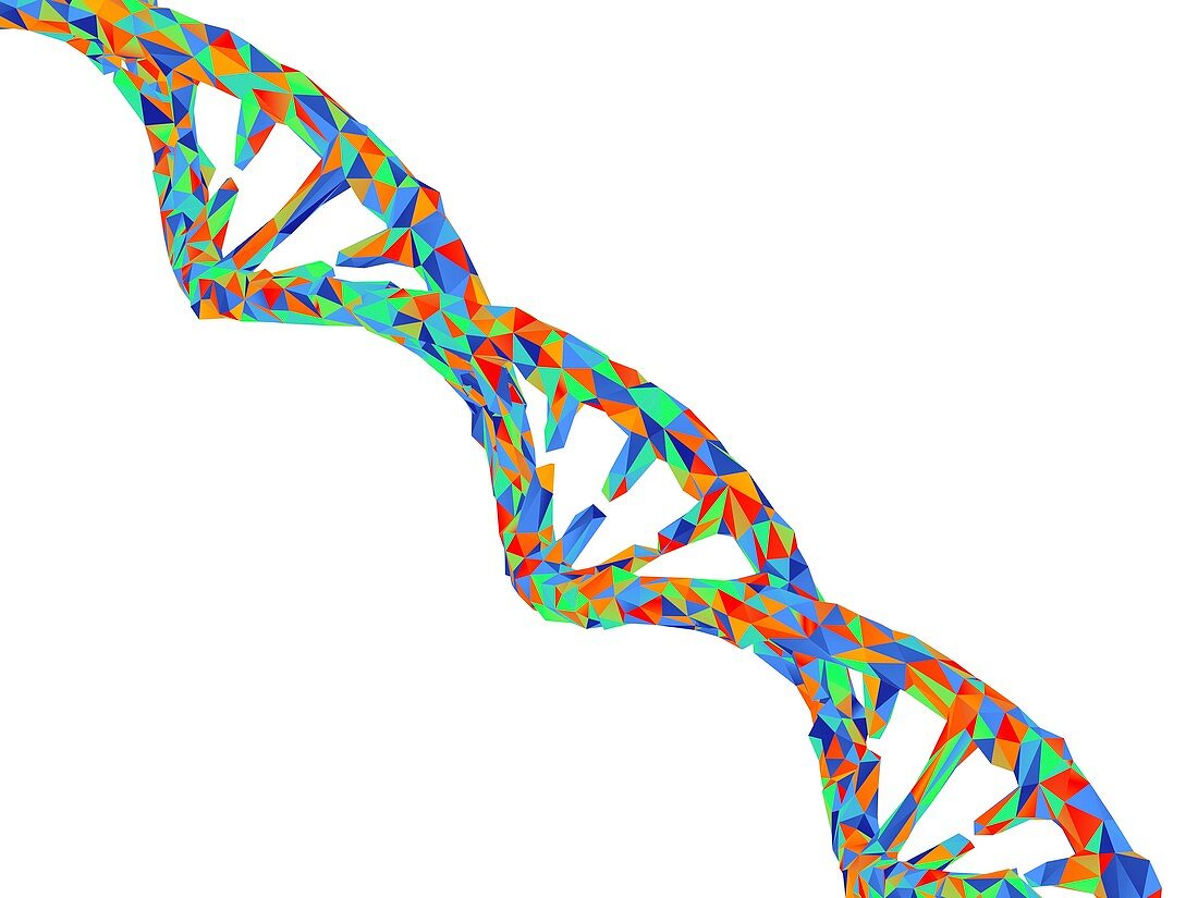 DNA strand, illustration