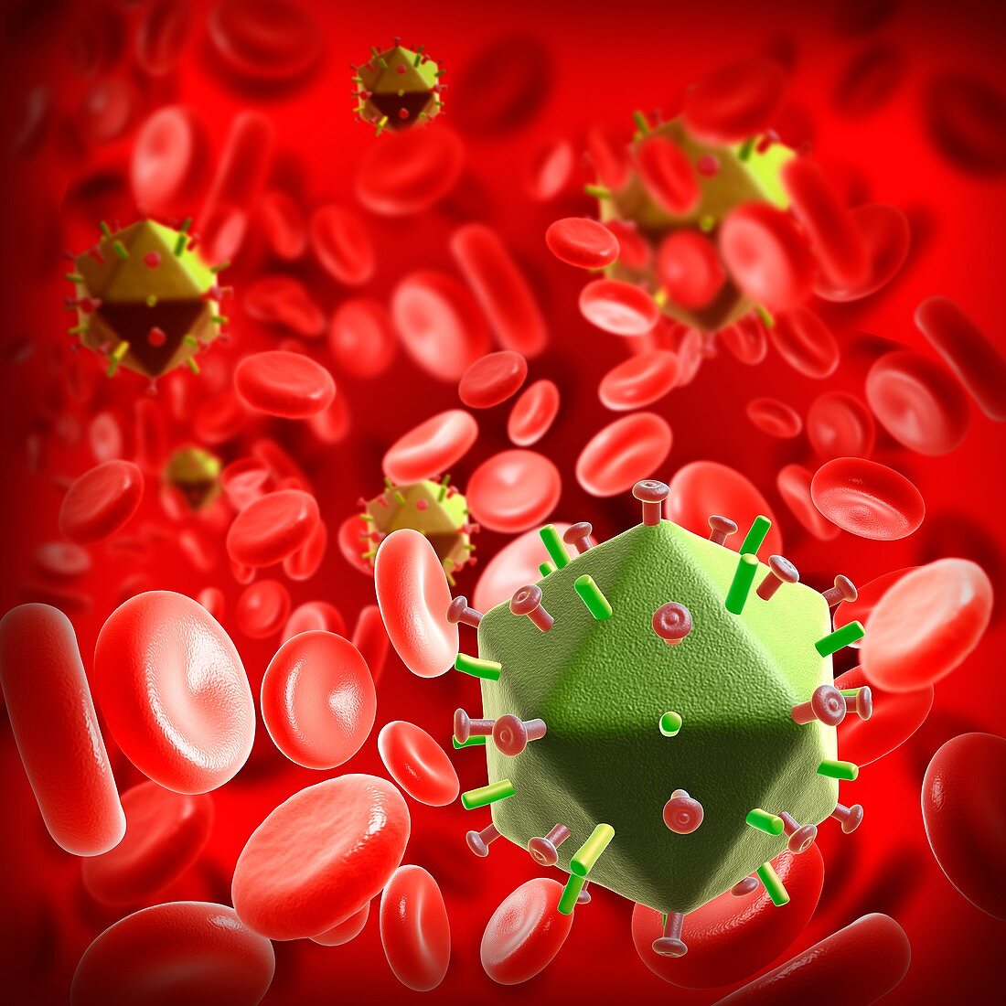 HIV virus particles in the blood, illustration