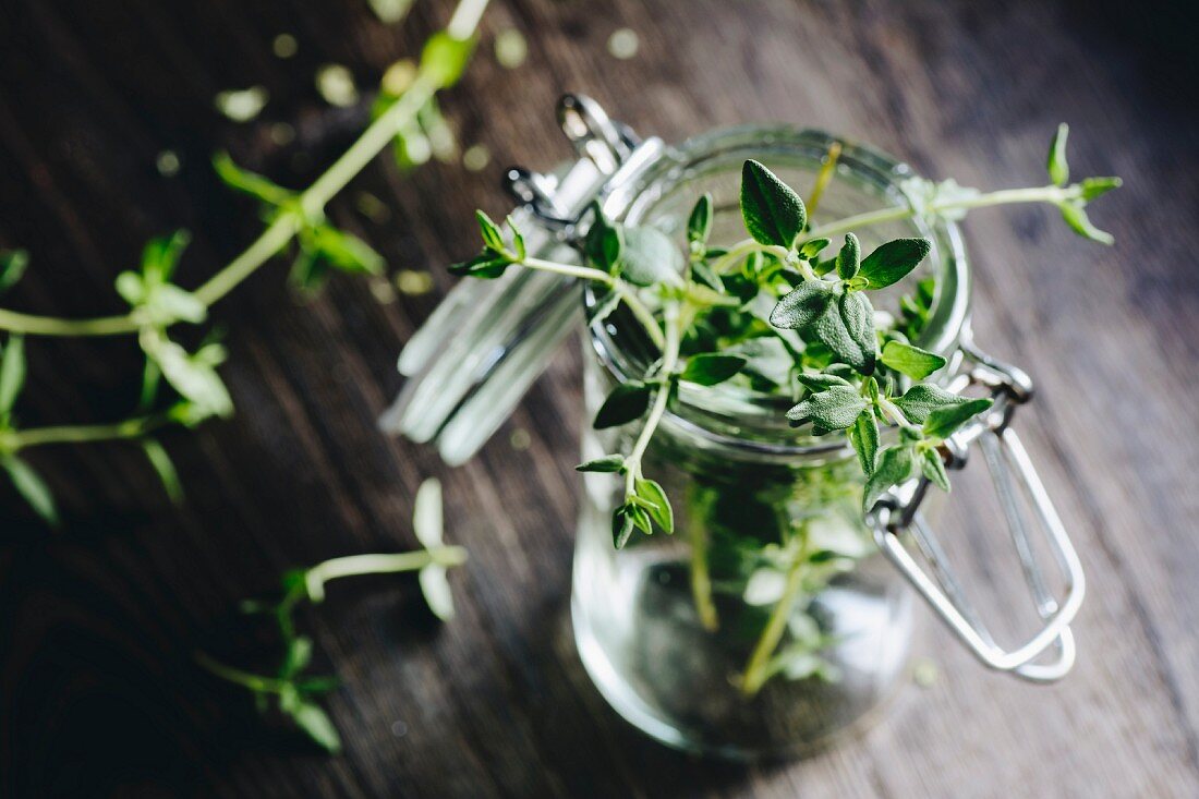 Fresh Thyme in a Vase