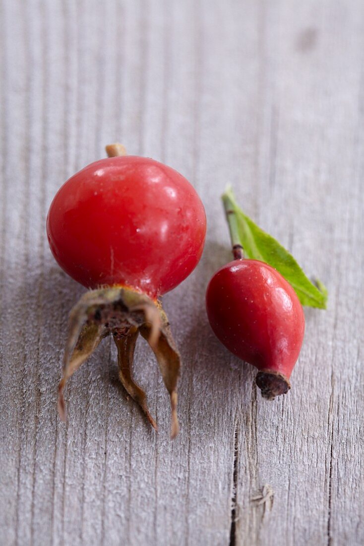 Two rose hips