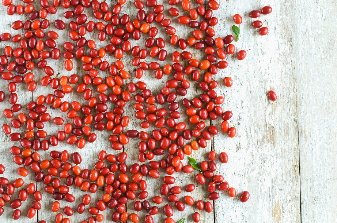 Freshly picked Cornelian cherries scattered on a rustic wooden table