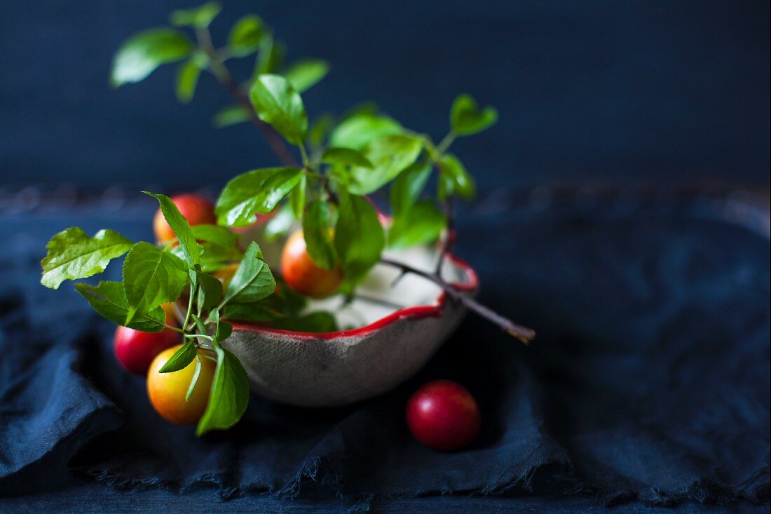 Small plums and leaves in a ceramic bowl