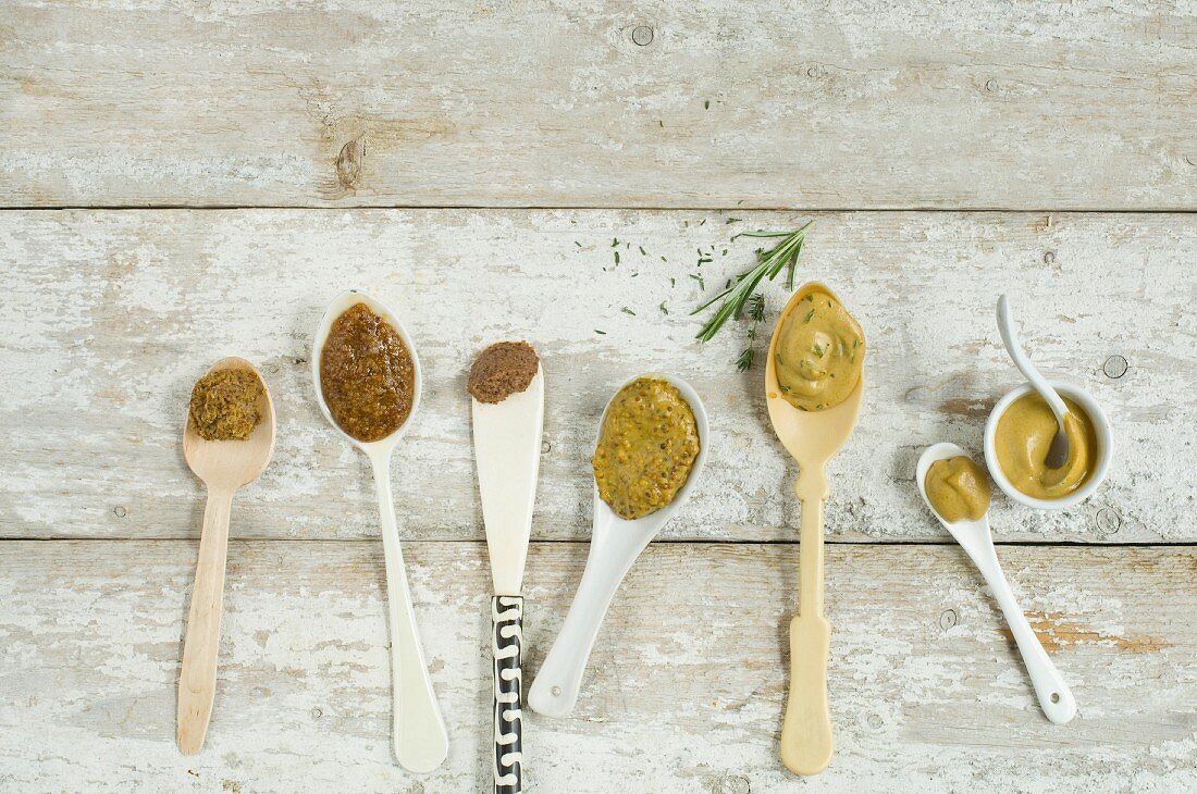Various types of mustard on spoons