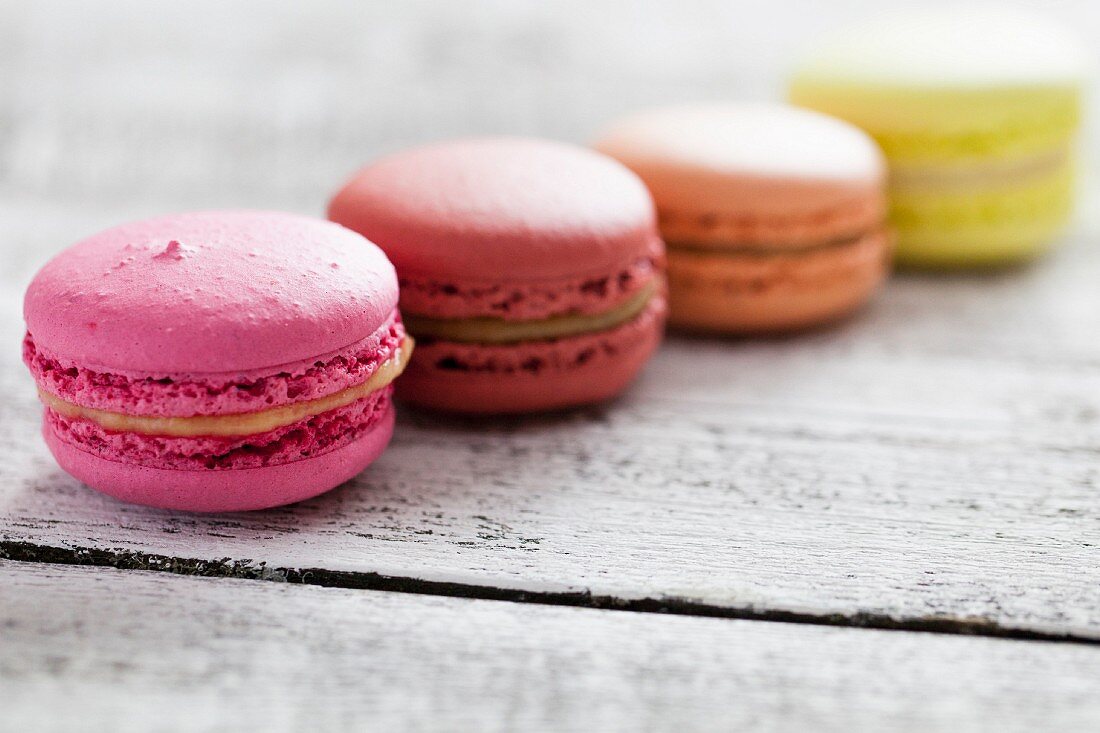 Macarons in einer Reihe