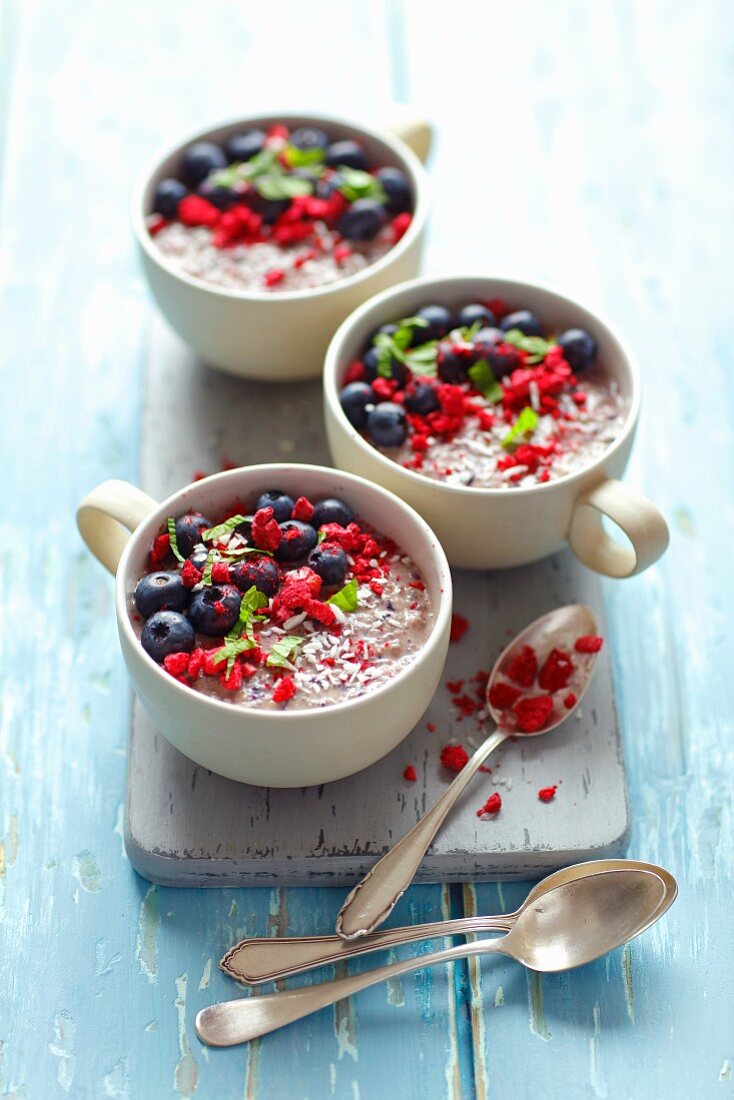 Heidelbeer-Chia-Pudding