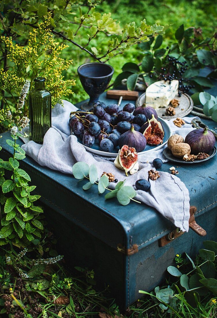 A picnic in a garden with red grapes, figs, blue cheese and nuts