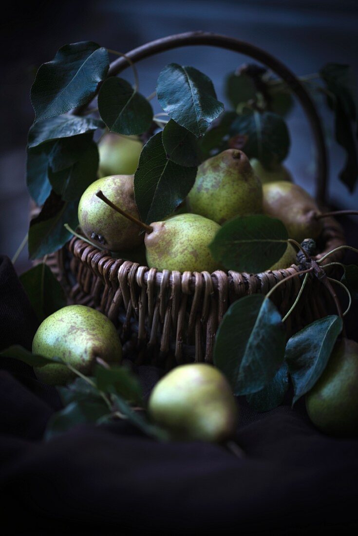 Freshly picked pears in a basket