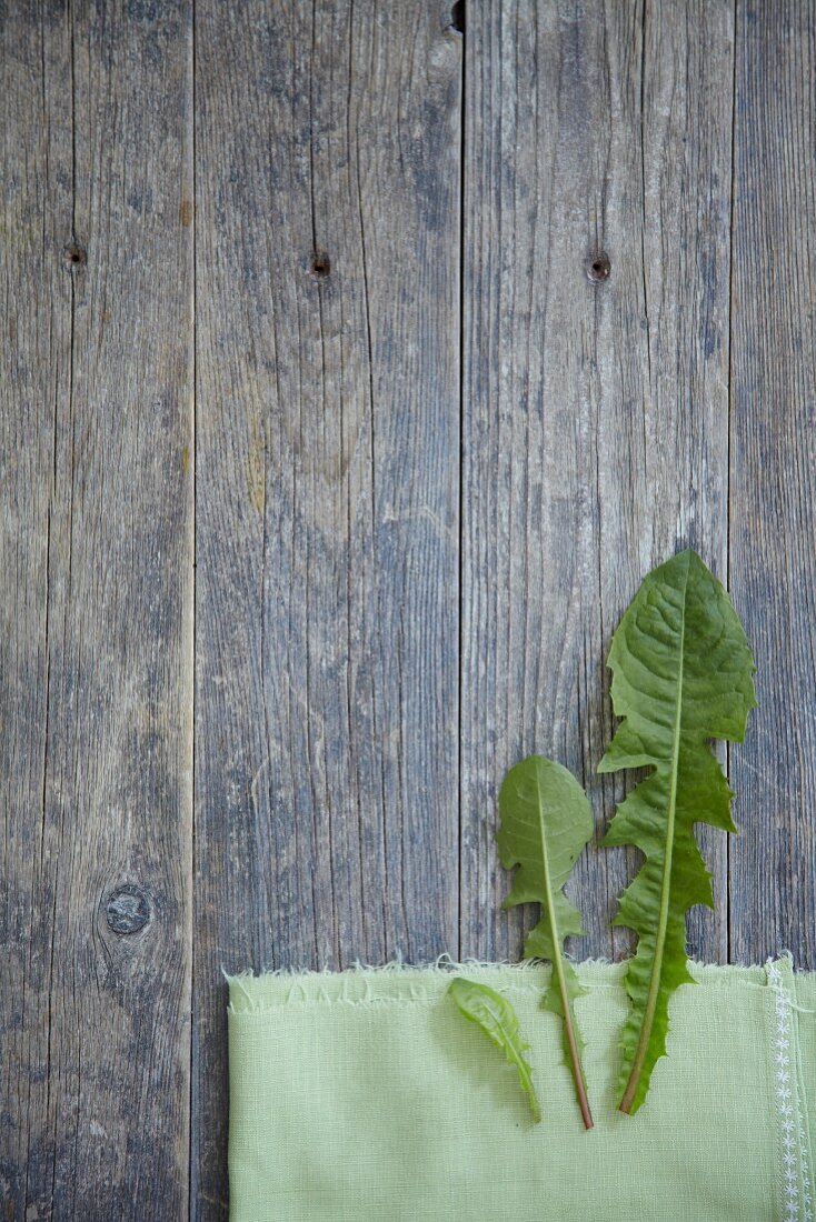 Fresh Dandelion Greens on Wood