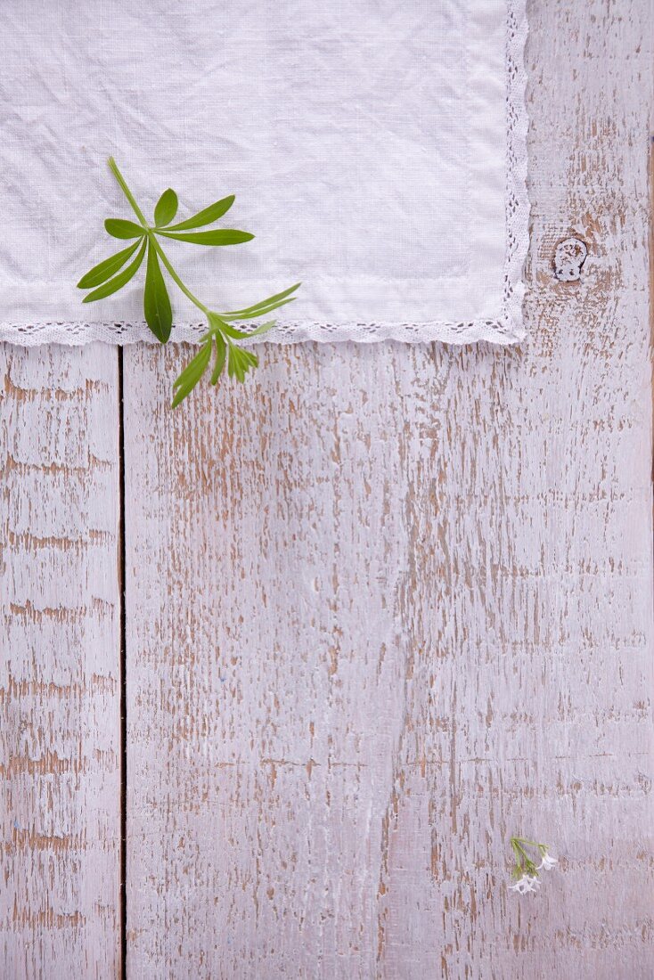 A woodruff leaf on a white linen cloth