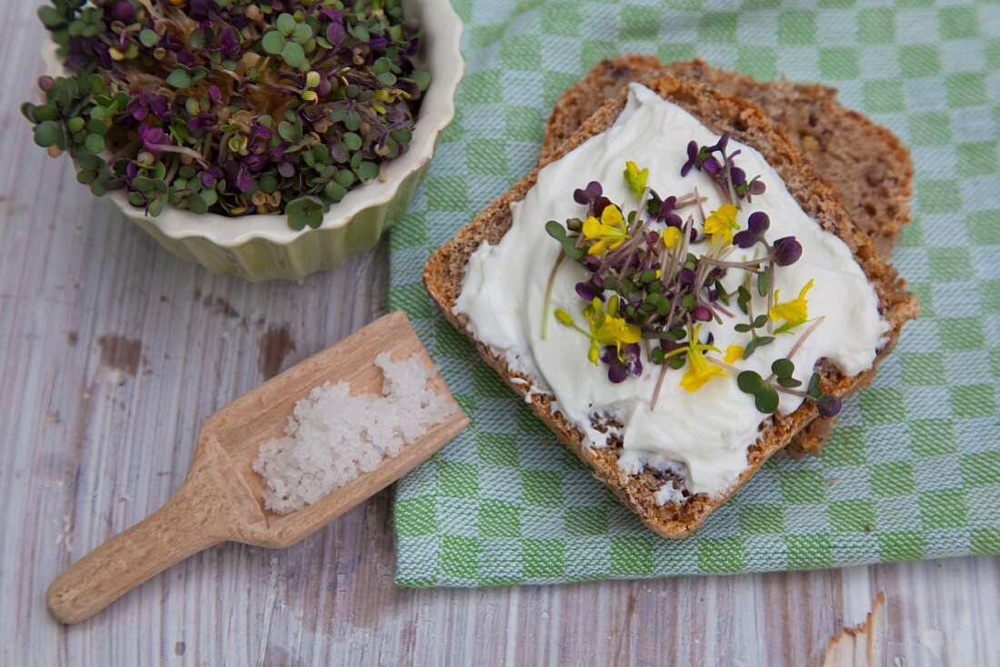 Vollkornbrot mit Frischkäse, Kresse und Essblüten