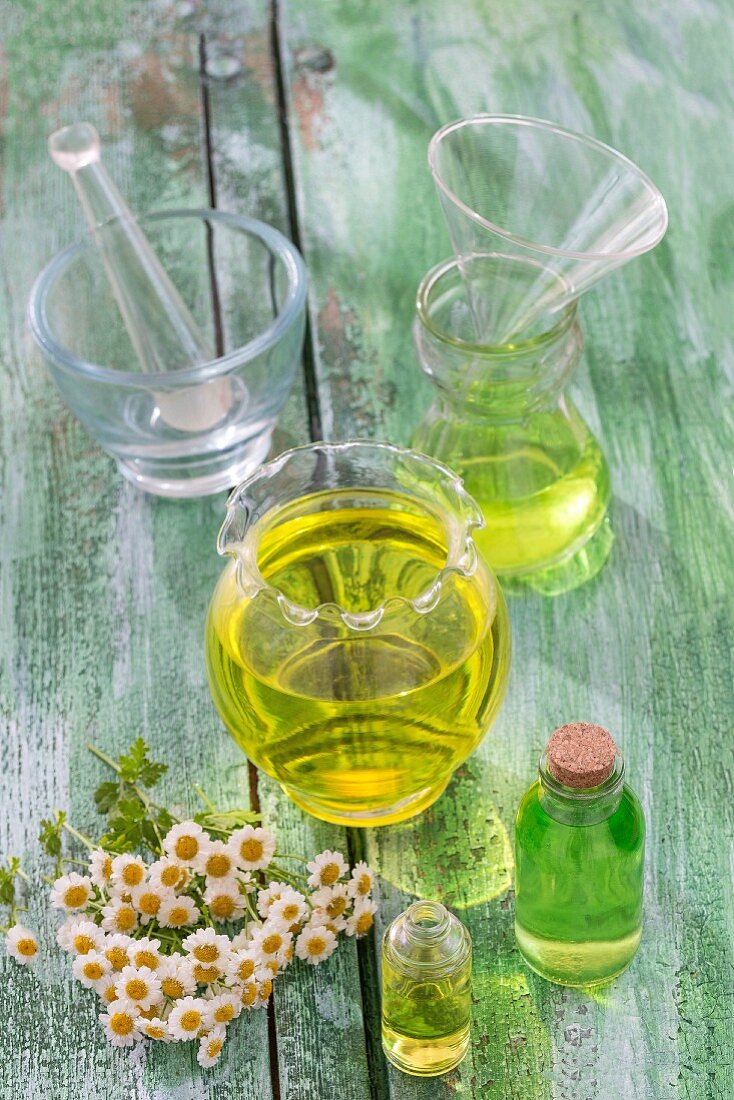 Chamomile oil and fresh chamomile flowers