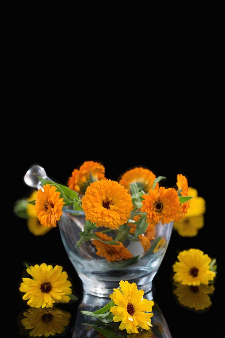 Fresh marigolds in a glass mortar