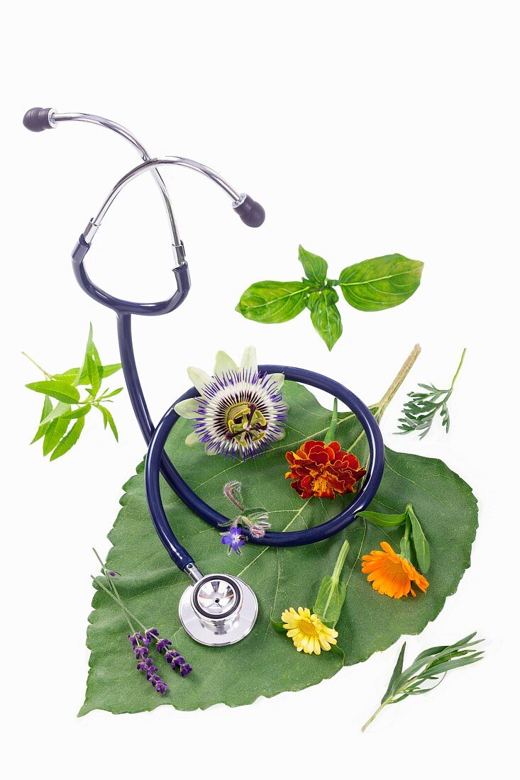 Various healing flowers and herbs next to a stethoscope
