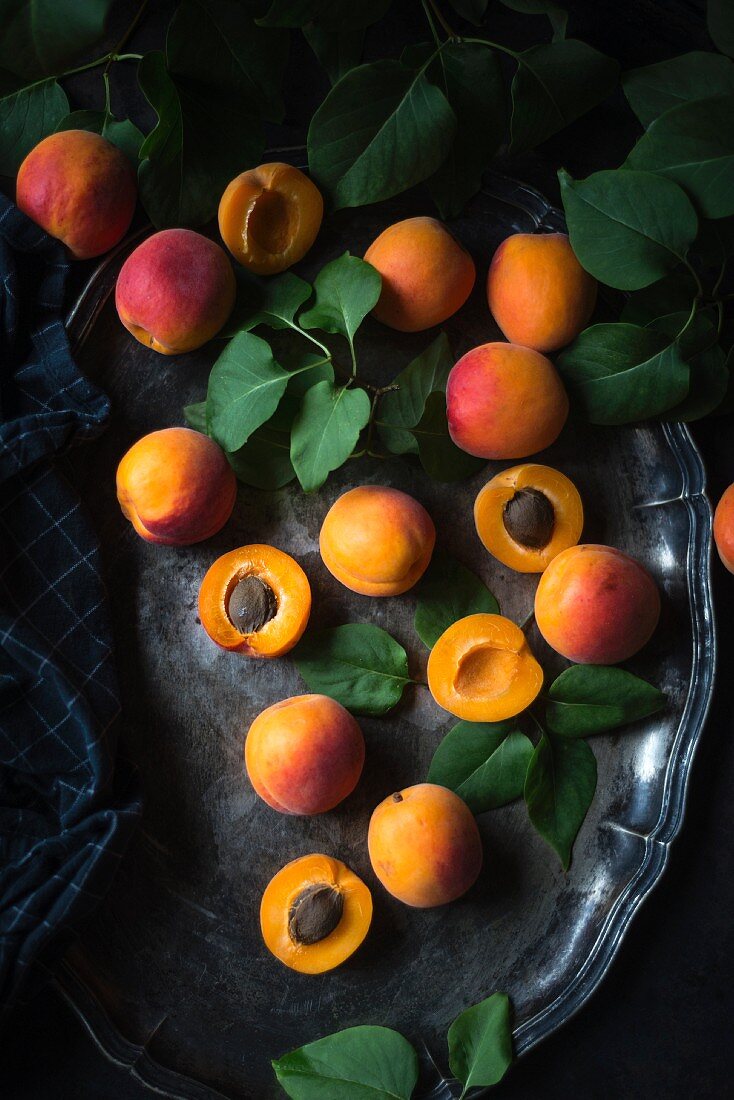 Frische Aprikosen auf Metalltablett