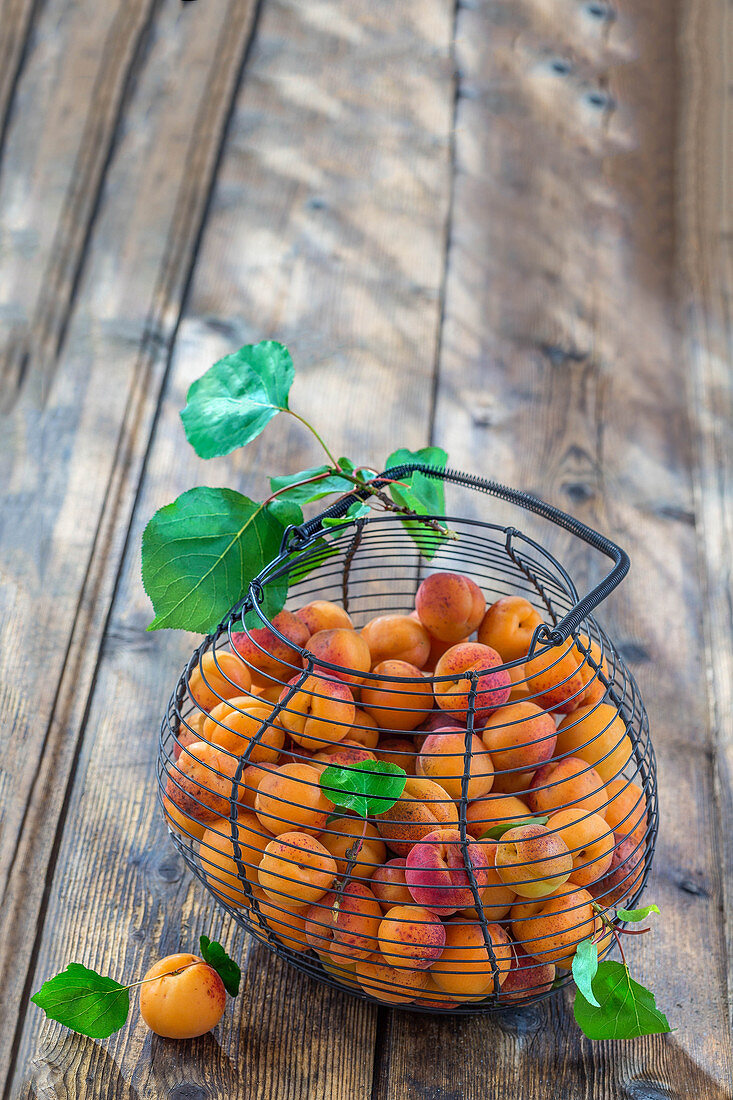 Apricots in a wire basket