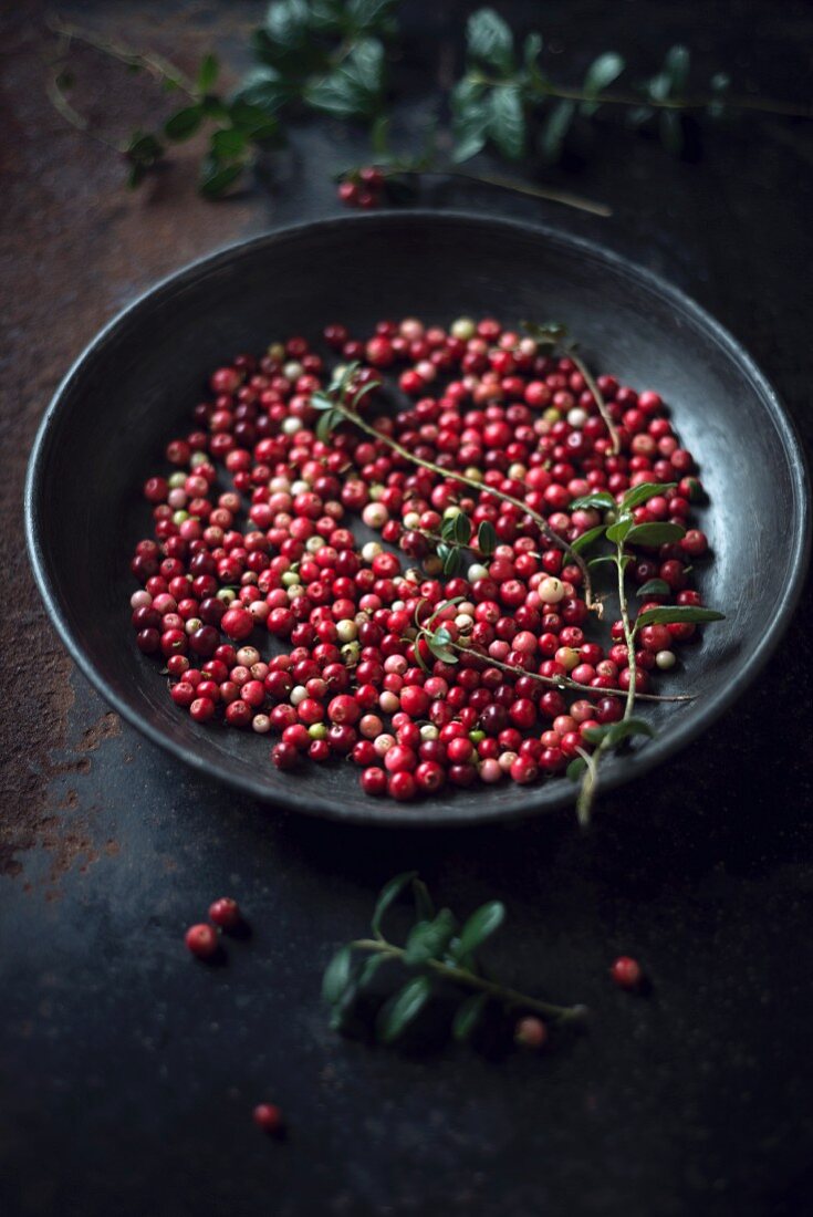 Fresh lingonberries (Vaccinium vitis-idaea) in a bowl