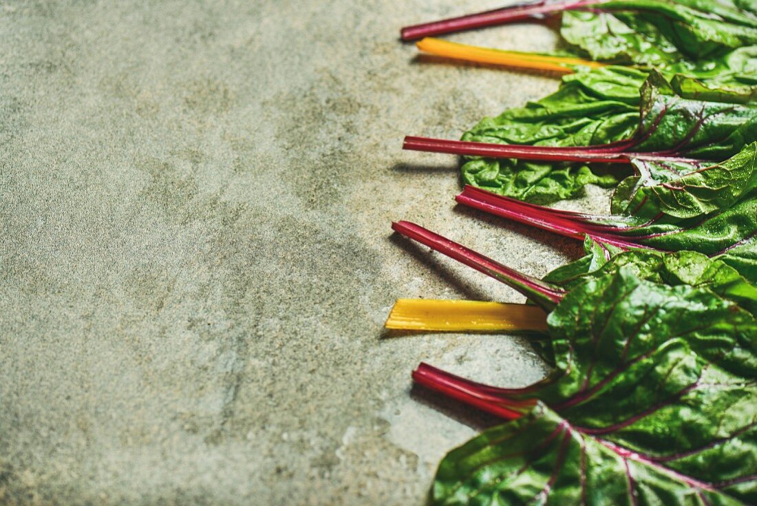 Flat-lay of fresh leaves of swiss chard with different coloured stems on a concrete stone background