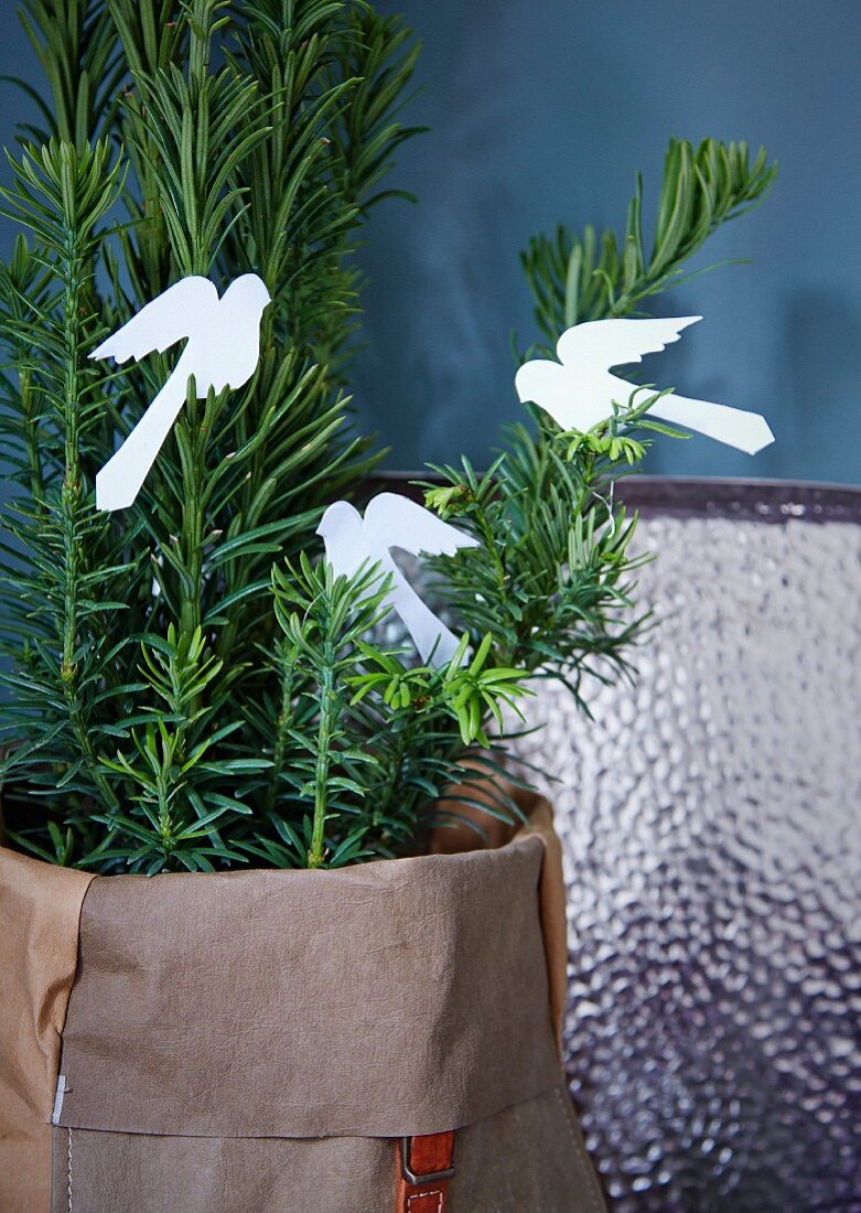 Paper birds on small yew tree in fabric sack