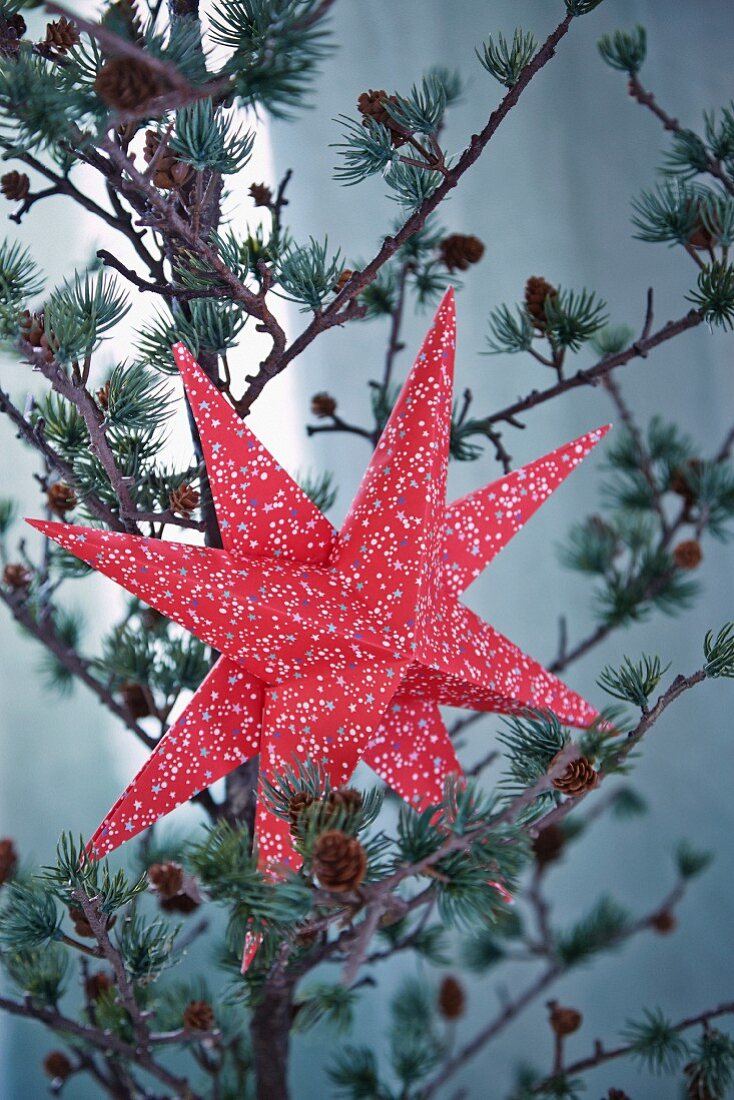 Patterned red paper star