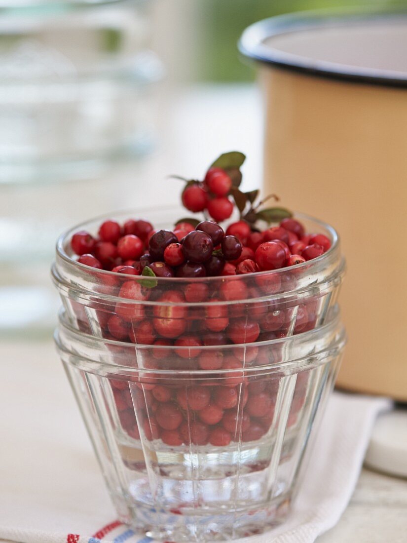 A glass of fresh cranberries