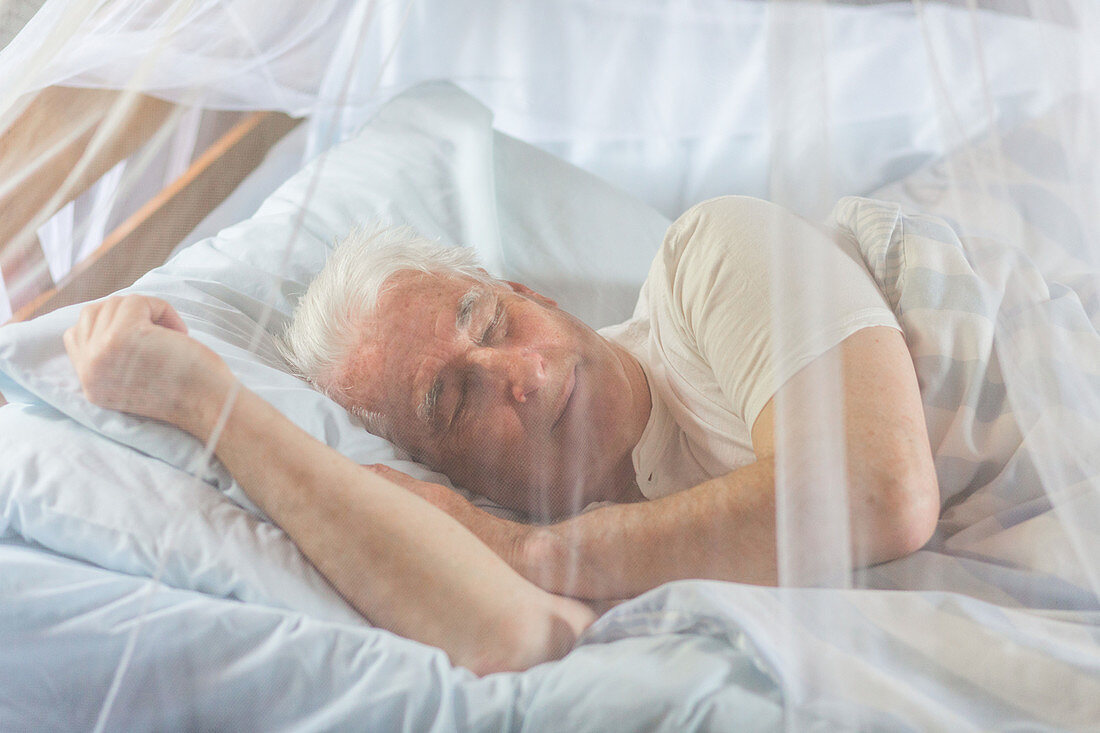 Man napping in bed under a mosquito net
