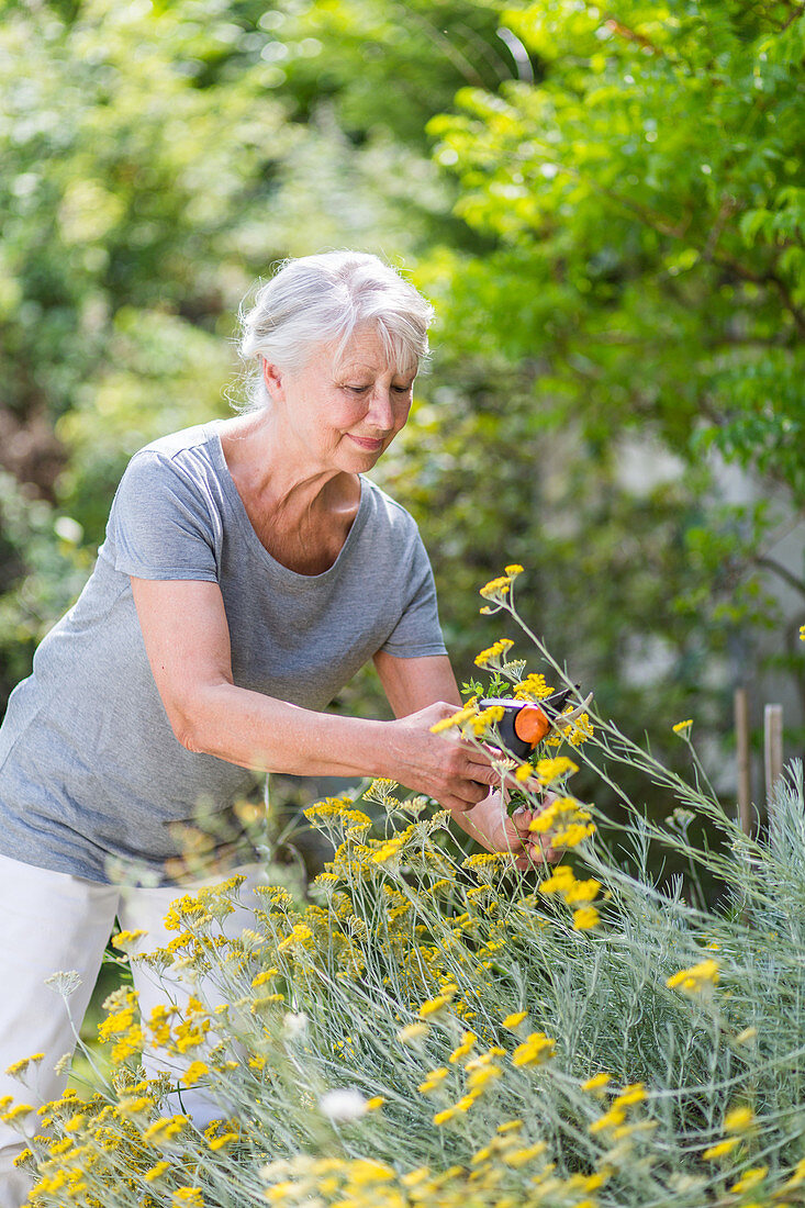 Woman picking flowers