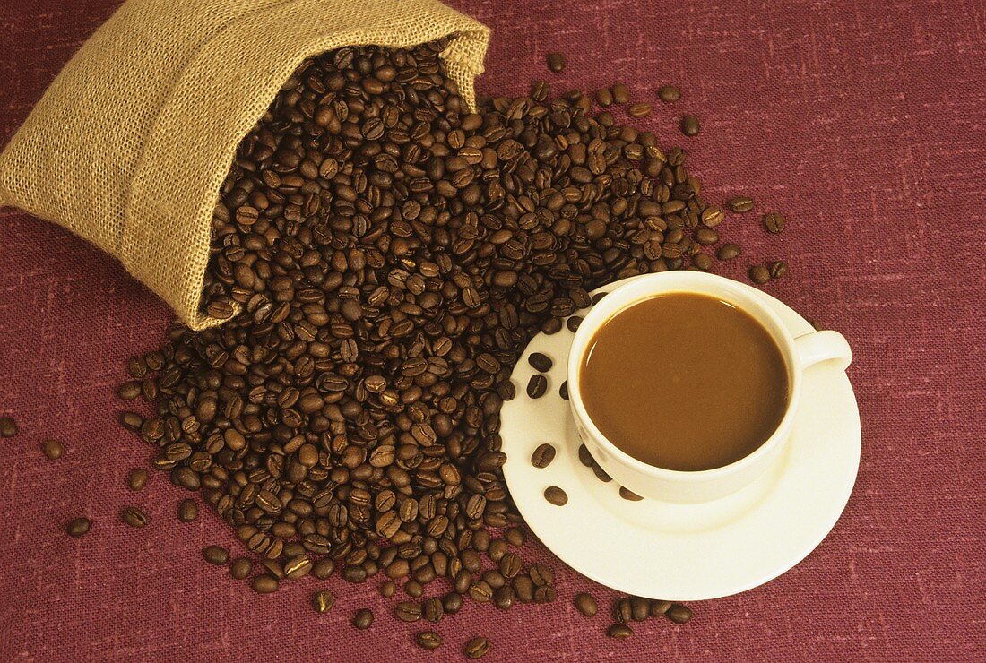 Tasse Kaffee mit Milch, daneben Kaffeebohnen aus Sack fallend