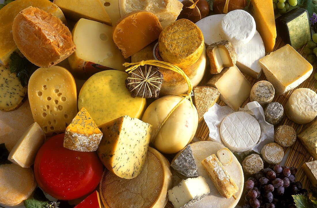 Still Life of Several Assorted Cheeses