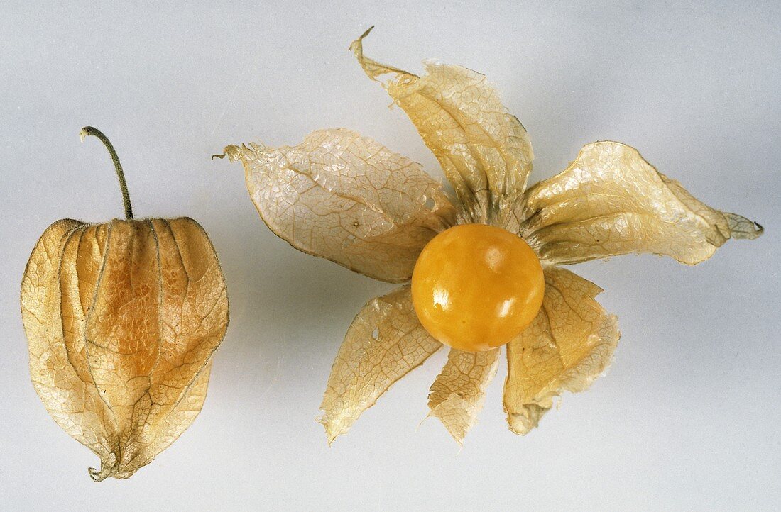 Zwei Kapstachelbeeren, eine Frucht geöffnet, eine verhüllt