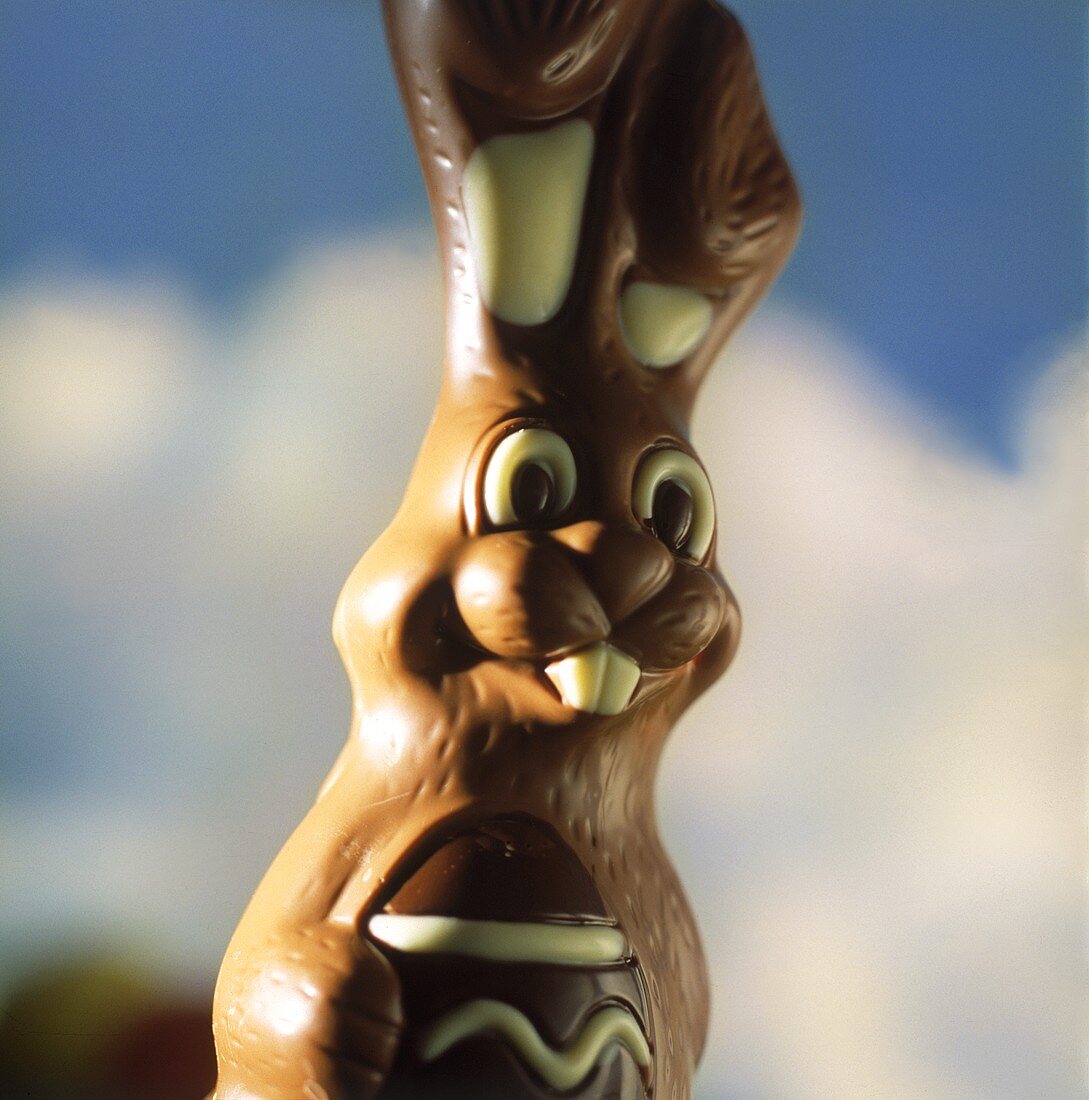 Close Up of a Chocolate Easter Bunny