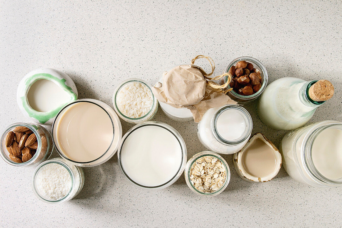 Variety of non-dairy vegan lactose free nuts and grain milk almond, hazelnut, coconut, rice, oat in glass bottles and ceramic jugs