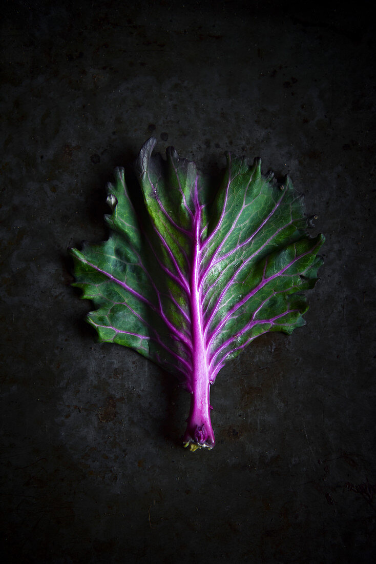 Kale on a dark background