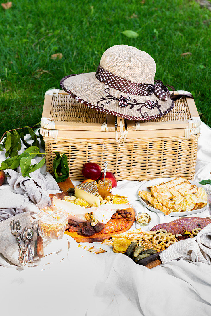 Sommerliches Picknick auf Wiese im Park